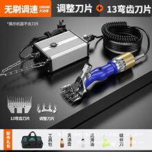 �͉���ë�� �oˢ��ë���� 늄���ë���� ����ë���� ����ë����