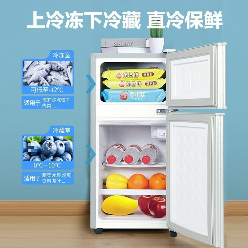 小冰箱迷你家用冷冻冷藏小型能效电冰箱租房宿舍二人用|undefined