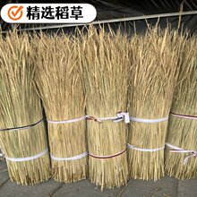 天然干稻草做霉豆腐的稻草屋顶装饰草帘遮阳稻草帘子牛羊草料稻草