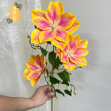 3�^�zƤ�F��ɏ �ذ��ʯɏ���滨��Y��·�����������b������l