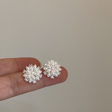 气质百搭珍珠锆石烟花耳钉女韩国个性ins时尚气质百搭耳环耳饰