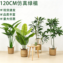 �F؛����Gֲ120cm���˽�ɢβ�������~���� �҃�ܛ�b��ؔ[�����l