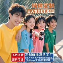 t恤定 制logo纯棉文化衫广告衫印字图企业工作服短袖团体班服现货
