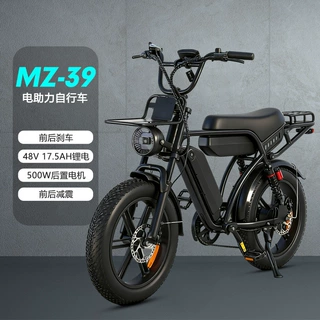 电动自行车20寸48V 双电池油刹胖胎雪地助力自行车山地电动摩托车