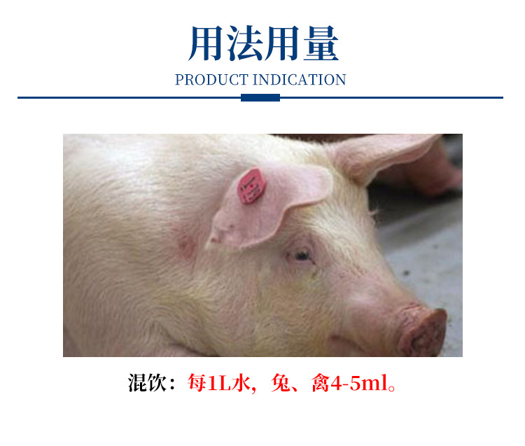 详情_03.jpg