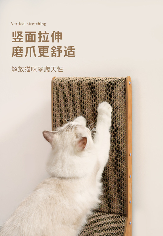 https://www.toonies.cn詳情圖片_05.jpg_800x800.jpg