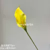 Calla lilies, 3D