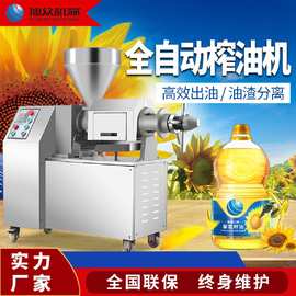 多功能菜籽葵花籽核桃榨油机油坊生意商用油榨机不锈钢油料压榨机