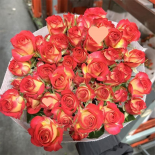 Orange Barbie Multi-Headed Rose Flower Bouquet Yunnan Kunming Base Direct Delivery Same-City Express Perfume Lily Flower Arrangement