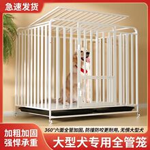 ���\�����ʹ���Ȯ�҃Ȏ�����߅��С�͌���\�������������ë���\