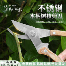 ���È@����֦�����lʡ�����ü����޴֘�֦�����~�ӈ@ˇ������֦��