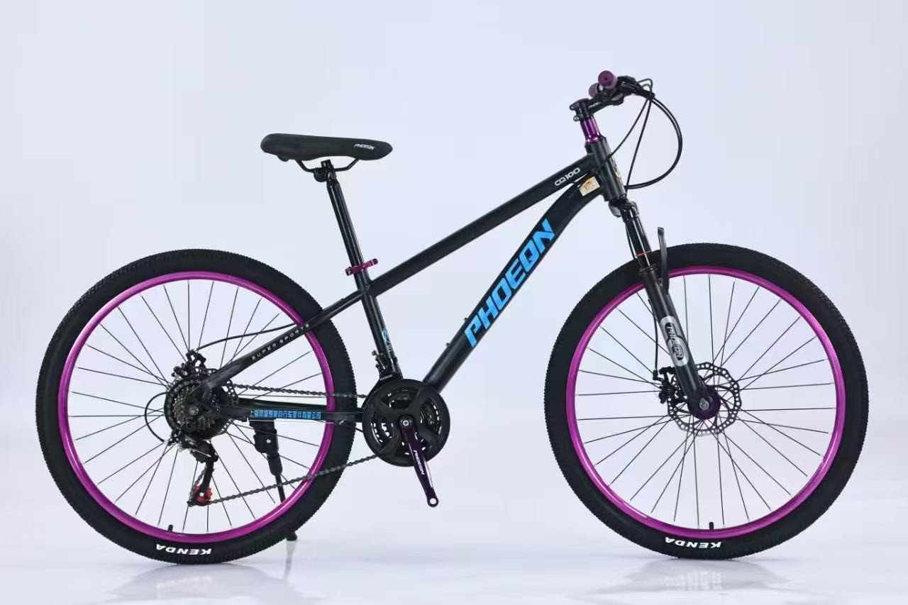 Bicicleta de montaña de cambio de velocidad para adultos