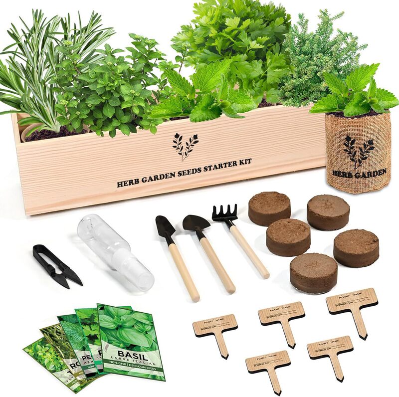 Cross-Border Amazon Indoor Planting Kit Creative Wooden Flower Pot Children and Adults Planting Flower and Herbal Set