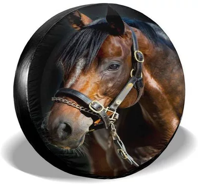 Spare wheel cover: Camping Car Hobby Tire - car-spare-tire-sleeve-z93-s6add8269a7d643a3949778aceba5256apjpg