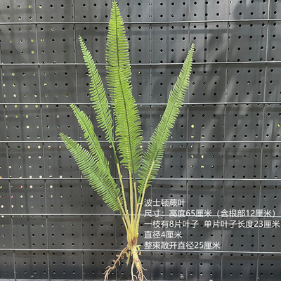 ペルシャのトルコの葉のシダの植物の偽の花の草の緑の葉の結婚祝いの柔らかい装飾の生け花の配材の背景の壁の装飾|undefined