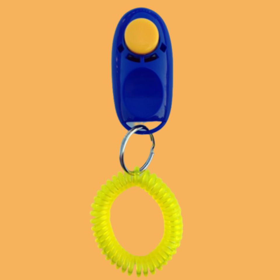 Entrenador de mascotas, contraseña sonora, pulsera, juguete para perros, artefacto mágico, entrenador de mascotas, juguete para perros