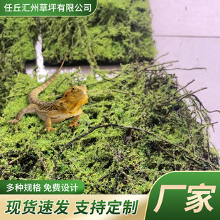 �羳���������쾰�b����Ƽ�������ֲ����B���쾰�b����ƺ