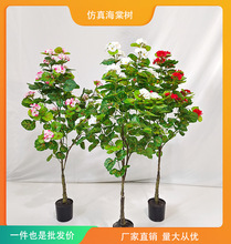 �߷��溣�Ę�ֲ���쾰�^�� ���滨���҃���[���辰�����̘I���