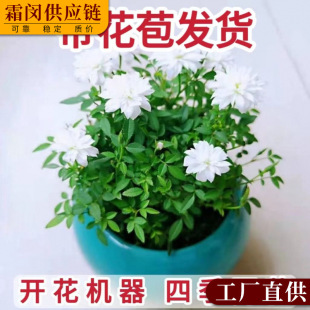 ���¼�����΢�辰�̨���洰̨�ļ��_���������Gֲ�҃Ȼ���