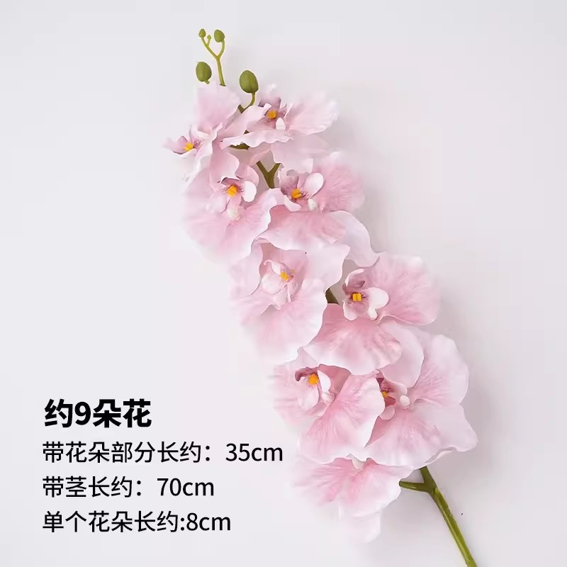 9 hojas de película Phalaenopsis 1 paquete