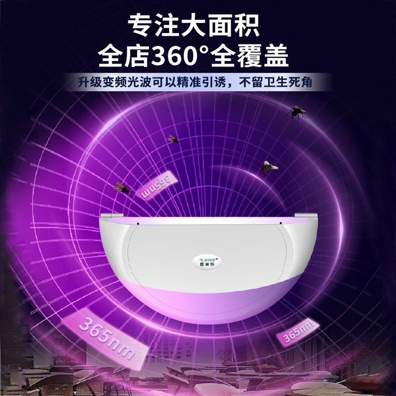 Gallery 3
