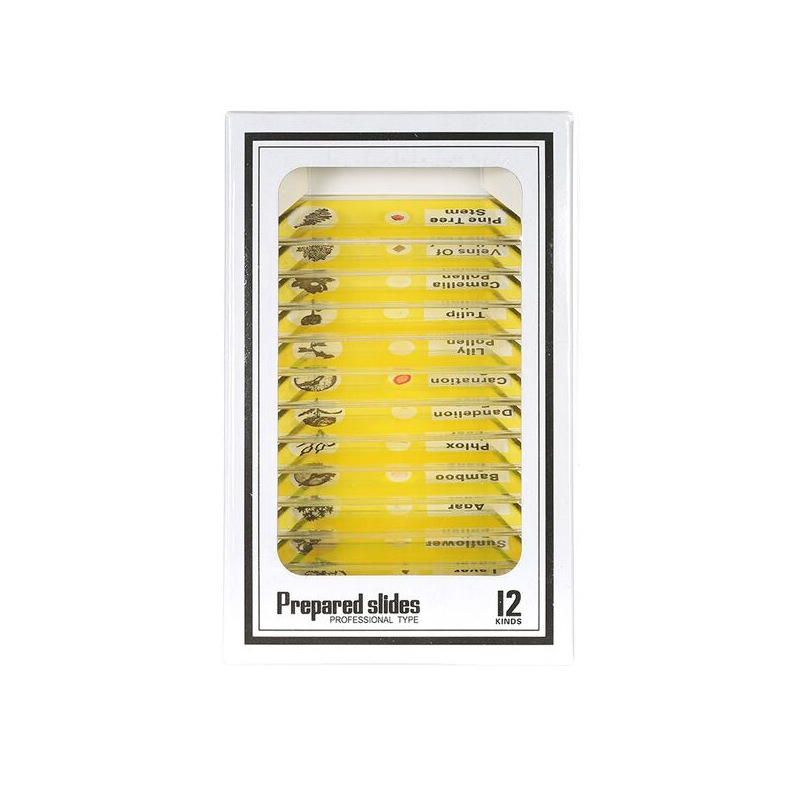 12 황색 식물의 표본 * 영어