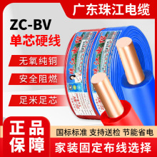 �齭��|ZC-BV���~����늾�1.5/2.5/4/6ƽ���̶���������������|