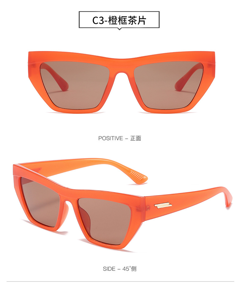 New Fashion Style Cat Eye Sunglasses display picture 4