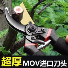 进口钢剪树剪子果树剪修枝剪枝剪园艺剪刀家用花木葡萄修剪厂家
