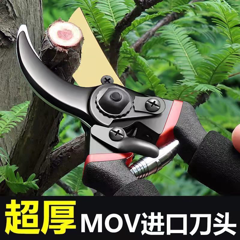 进口钢剪树剪子果树剪修枝剪枝剪园艺剪刀家用花木葡萄修剪厂家