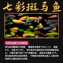 ���R�~�Ꭷ��ˮ�^�p�~С���~���B�����~��ȸ�~����~