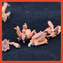 &asymp;����ɽҰ���Ȱؚ�5�� ɢ�b��о ���^�l�ؘ䚤���Ӛ����x �ؚ�