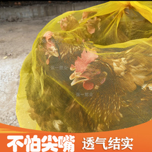 �b���ݵľW���W��С�W�����ϰ��b���b���u�������Ͼ����� �W����