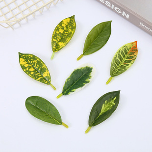 �����Ř��~��ͥ�G��������� ���ԾGֲ���DIY�ֹ��Gֲֲ��