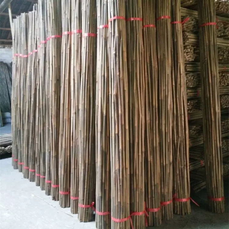 供应大量苦竹 竹竿包装加工 茶杆竹 农用支撑