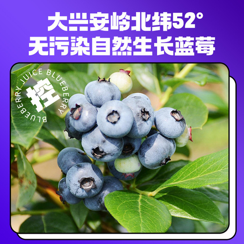 Qili Xiangmo Small Jilantao Blueberry Juice 210ml 7 Bags Boxed Blueberry Anthocyanin Beverage Direct Supply from Manufacturer