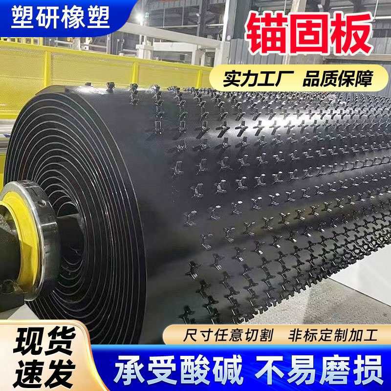 pe多点锚固板隧道抗污水处理垫板抗冲击耐磨防腐聚乙烯锚固板
