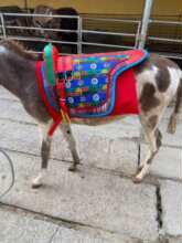 �P�T�� ë�H�� С���R����90�������°��RС�Hʹ�� ِ���ɫ�S�C