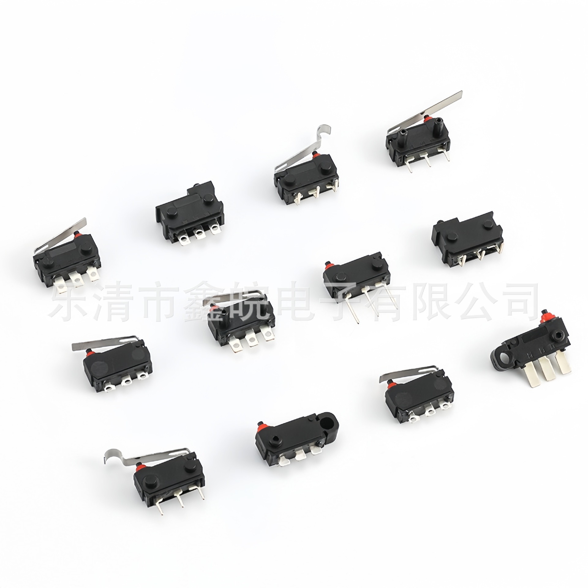 供应KW2防水微动开关系列汽车微动开关防水 带电阻充电枪开关