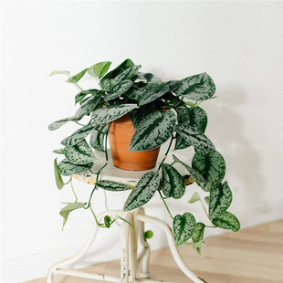 ���~С�~�y�߸��~�S�������پW�t�҃�ˮ�����[�Ғ촹��ֲ��