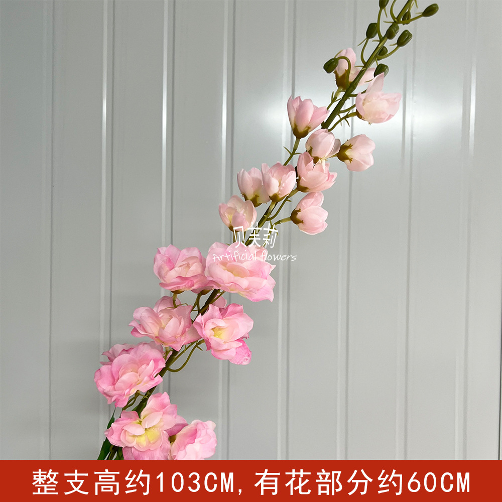 똑똑한 다페이얀