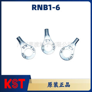 ̨��KSTԭ�b��ƷRNB1-6 �A�����䉺�Ӿ�����T2���~����a�~����
