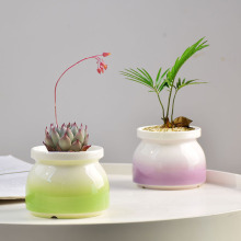 �S��ֱ�N���²�С���������̹��մɶ��⻨��Gֲ���Ԍ�����