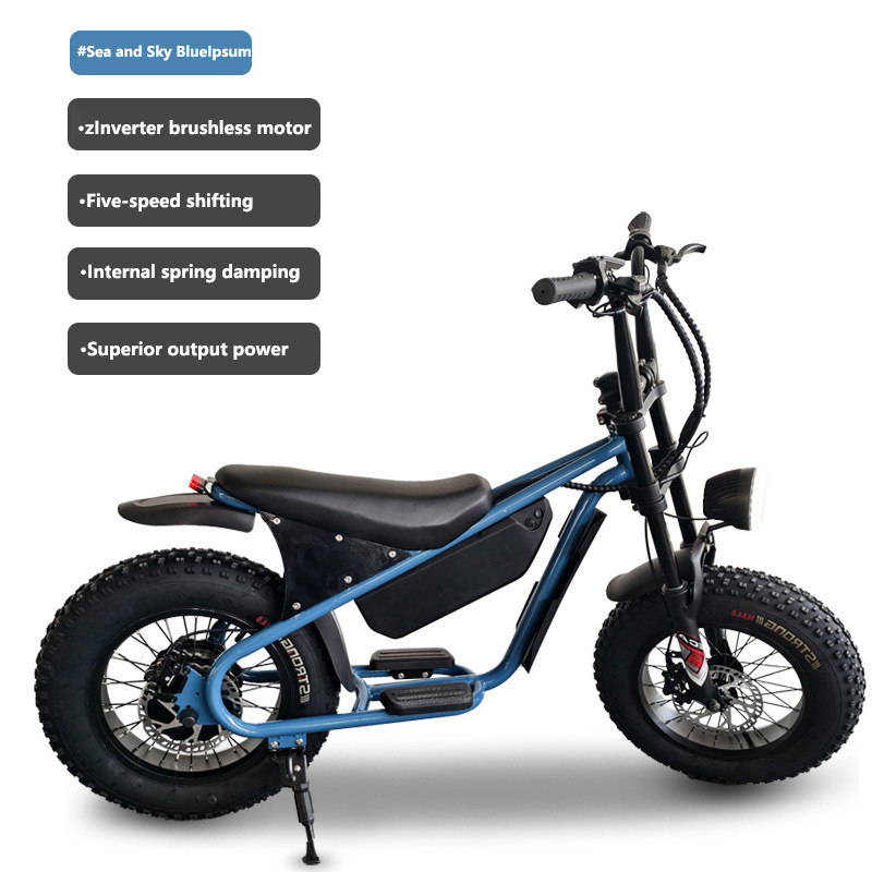 Cross-Border Wholesale 16inch Wide-Tire Snow and Beach Electric Bike for Children and Adults, Urban Commuting Shock-Absorbing Electric Bicycle