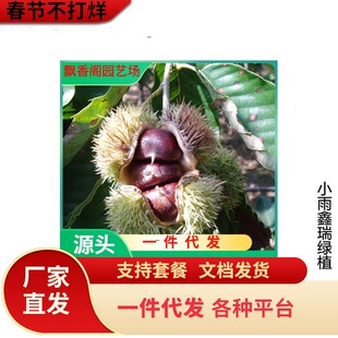 �޽Ӱ�����ֱ�Nֱ�� �F�ڬF�u������ ���a�S�a ����Y�� ������