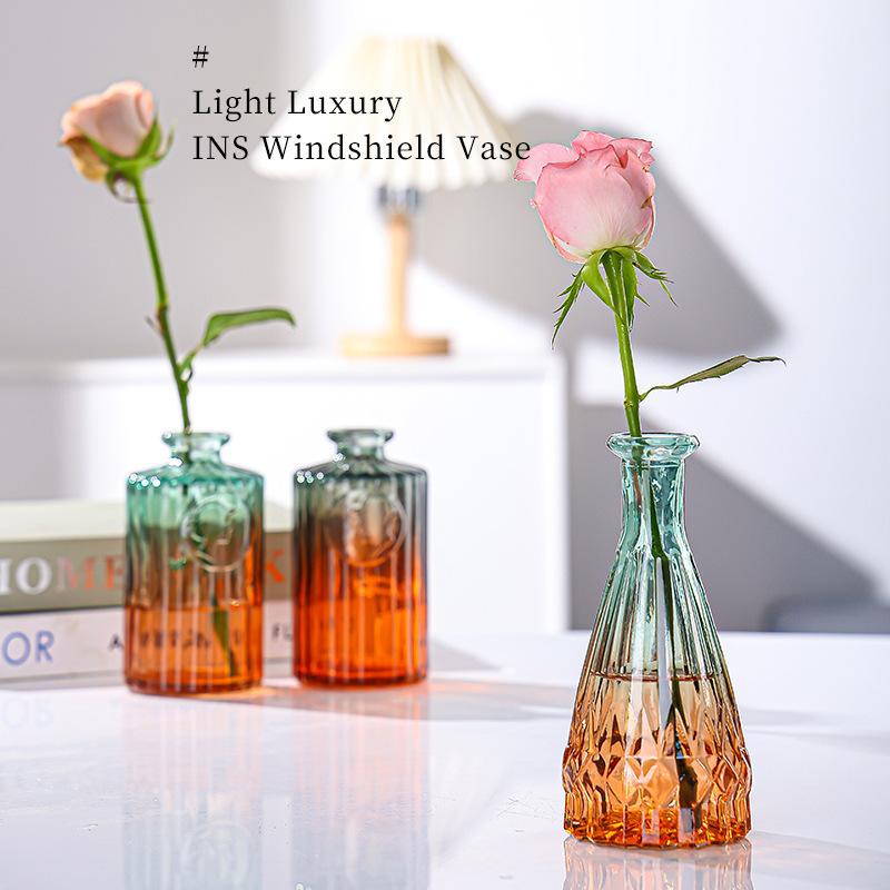 Relieve simple creativo vasijo de vidrio transparente conjunto de flores hidropónicas flores acuáticas plantas decoración de sala de estar vasijo