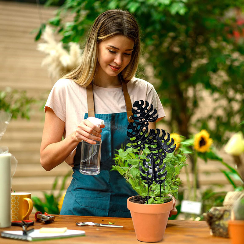 O1CN01oqEWxJ1q2ed2PevFO_!!2215