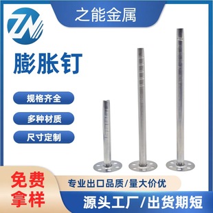 Building Interior and Exterior Wall Insulation Nails Galvanized Iron Stainless Steel Expansion Nails Factory Direct Sales Insulation Fixed Anchor Metal Hardware