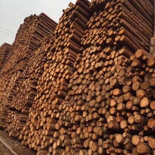 �S��ֱ�lɼľ�U�@�־G��֧�θ߉������o��ľȫ���l؛