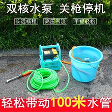 手提式电动喷雾器多功能农用高压果树打药抽水机洗车大功率双泵机